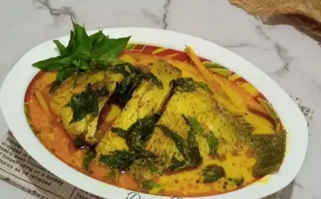 Kenali 7 Resep Ikan Sehat dan Rendah Kalori yang Lezat untuk Menu Rumahan