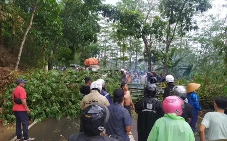 Serumpun Bambu Tumbang, Rombongan Pj Bupati Bondowoso Terisolasi dan Terjebak Macet hingga 4 Km