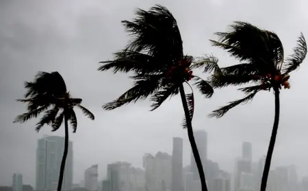 BMKG Prediksi La Nina Berlanjut hingga Februari 2025, Curah Hujan Bisa Naik 40 Persen