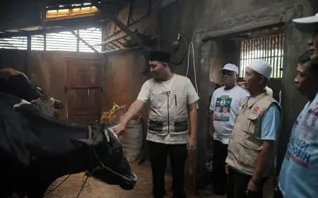 Petani Rumput Gajah di Pasuruan Keluhkan Pembatasan Pupuk Bersubsidi, Mas Rusdi Punya Solusinya