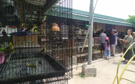 Pasar Burung di Bondowoso Perlahan Pulihkan Wisata Kuliner Jembatan Ki Ronggo