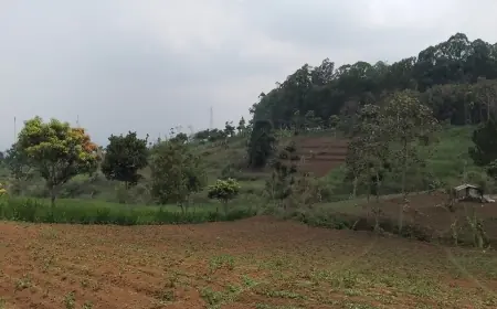 Kawasan Jalibar Kota Batu Bakal Dibangun Track Sepeda Ekstrem