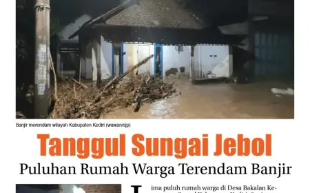 eKoran, Edisi Selasa, 12 November 2024