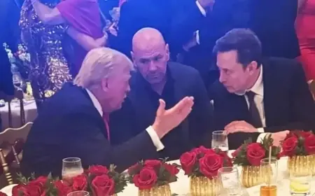 Elon Musk Ditunjuk Donald Trump Pimpin Reformasi Birokrasi AS
