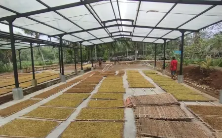 DBHCHT Menyasar Infrastruktur Produksi Tembakau di Donomulyo Kabupaten Malang