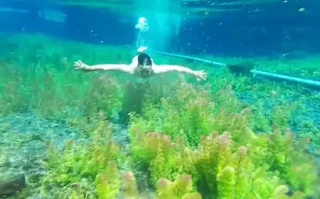 Telaga Semeru, Destinasi Wisata Alam Menyegarkan di Lumajang