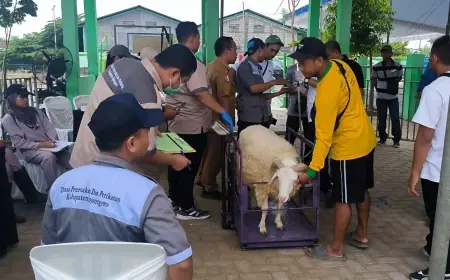 Pemkab Bojonegoro Gelar Kontes dan Pameran Ternak, Hadirkan Ternak Unggulan dari 28 Kecamatan