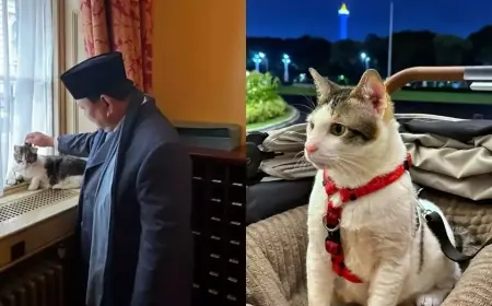 Prabowo Elus Kucing PM Inggris, Netizen Cemas Bobby Kertanegara Cemburu