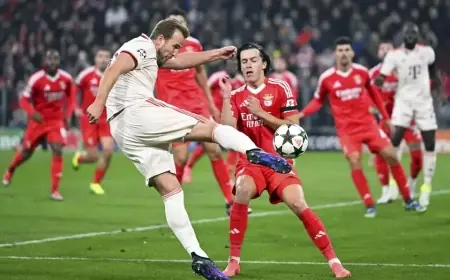 Harry Kane Hattrick, Bayern Munchen Menang 3-0 Atas Augsburg dan Perlebar Poin di Puncak Klasemen