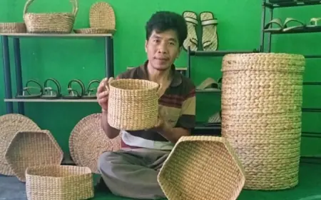 Fenomena Eceng Gondok di Mojokerto, di Kota Dicemaskan Warga, di Kabupaten Jadi Rupiah