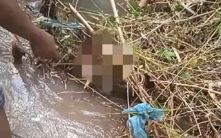 Warga Sumber Kokap Bondowoso Dihebohkan dengan Penemuan Jasad Bayi Laki-laki di Sungai