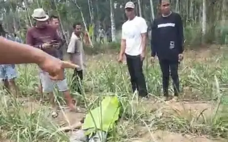 Warga Lumajang Ditemukan Tewas dengan Sabetan Sajam di Tengah Kebun Tebu