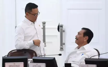Luhut Isyaratkan Tunda Penerapan PPN 12 Persen, Fokus Salurkan Subsidi Listrik untuk Masyarakat Kelas Menengah
