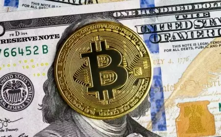 Pasar Kripto Mengalami Lonjakan Signifikan, Bitcoin Dekati US$ 100.000
