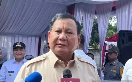 Prabowo Terima Sekjen OECD, Bahas Proses Aksesi Indonesia Jadi Anggota