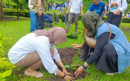 Peringati Hari Menanam Pohon Nasional, Universitas Negeri Malang Lakukan Ini