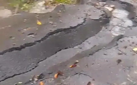 Baru 2 Pekan Diresmikan, Jalan Senilai Belasan Miliar di Jember Ambles