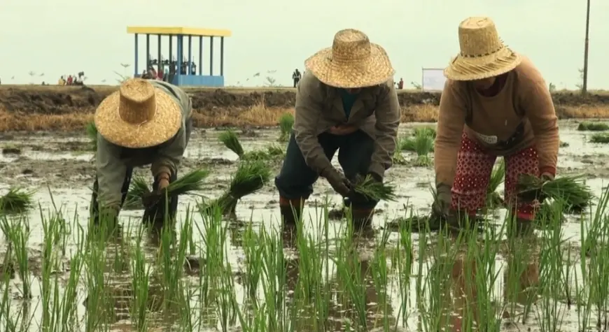 Pemutihan Utang Petani dan Nelayan Dilakukan Selektif oleh Kementerian Koperasi