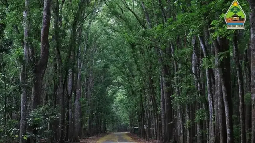 Terungkap! 5 Lokasi Paling Mistis di Jawa Timur yang Bikin Merinding