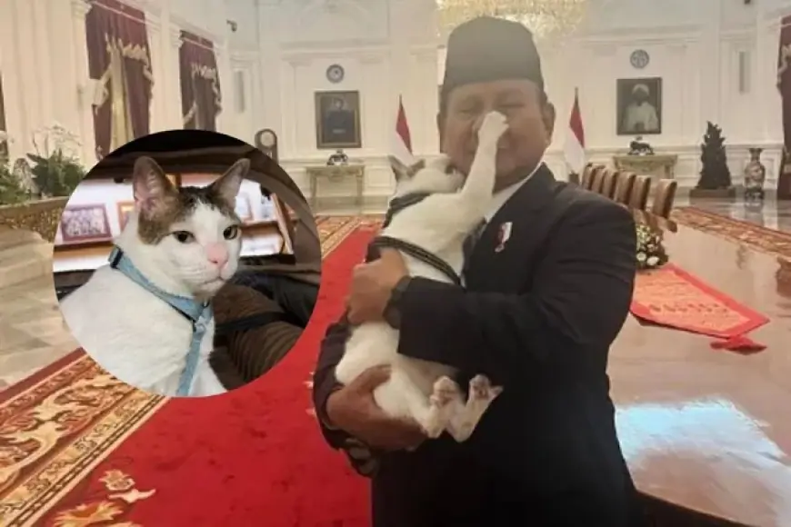 Siapa Lebih Menguasai Istana Negara, Prabowo atau Bobby Kertanegara?