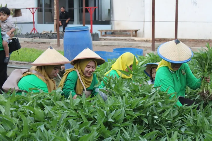 Ibu-Ibu Dharmawanita Lapas Pasuruan Terkesan dengan Kemampuan Warga Binaan Mengelola Kebun