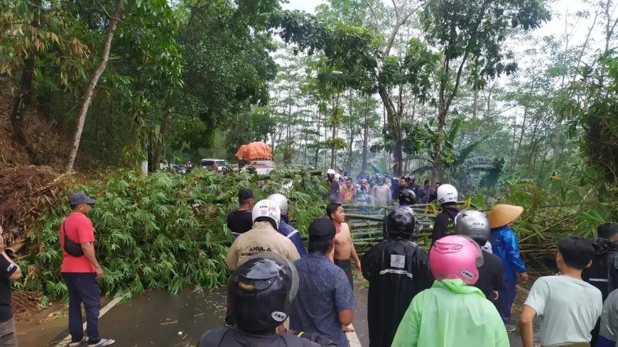 Serumpun Bambu Tumbang, Rombongan Pj Bupati Bondowoso Terisolasi dan Terjebak Macet hingga 4 Km