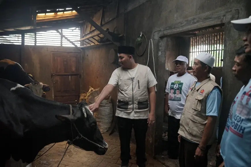 Petani Rumput Gajah di Pasuruan Keluhkan Pembatasan Pupuk Bersubsidi, Mas Rusdi Punya Solusinya