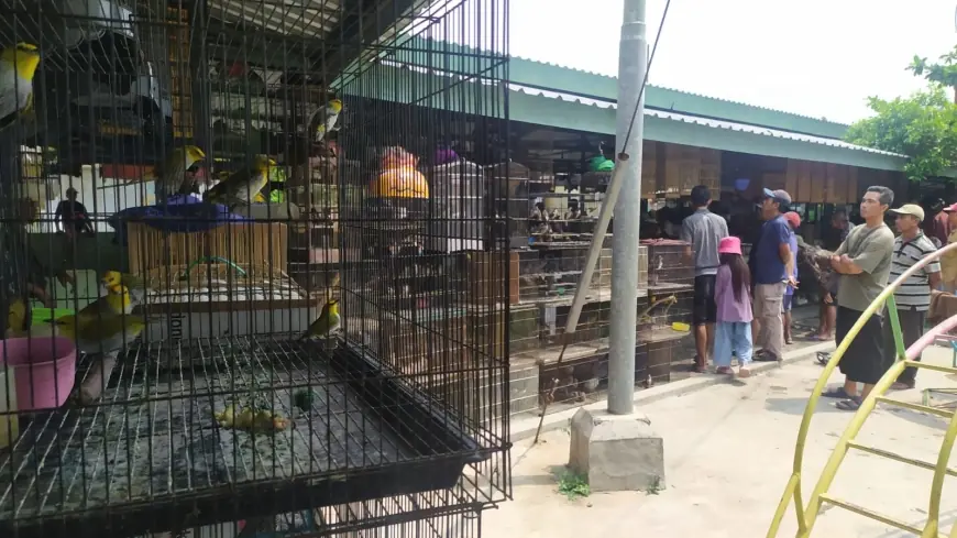 Pasar Burung di Bondowoso Perlahan Pulihkan Wisata Kuliner Jembatan Ki Ronggo