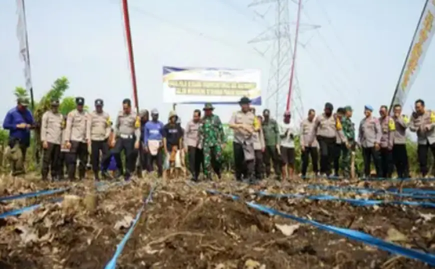 Polres Probolinggo Kota Tanam Jagung Guna Dorong Ketahanan Pangan