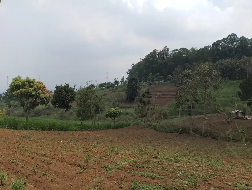 Kawasan Jalibar Kota Batu Bakal Dibangun Track Sepeda Ekstrem