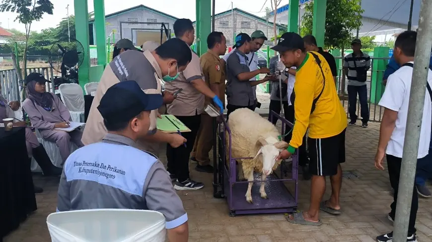 Pemkab Bojonegoro Gelar Kontes dan Pameran Ternak, Hadirkan Ternak Unggulan dari 28 Kecamatan