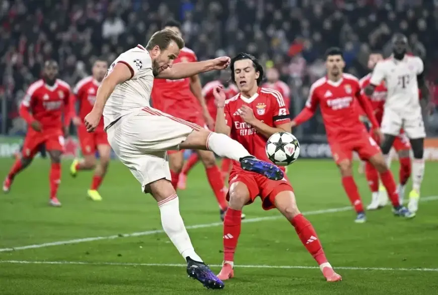 Harry Kane Hattrick, Bayern Munchen Menang 3-0 Atas Augsburg dan Perlebar Poin di Puncak Klasemen