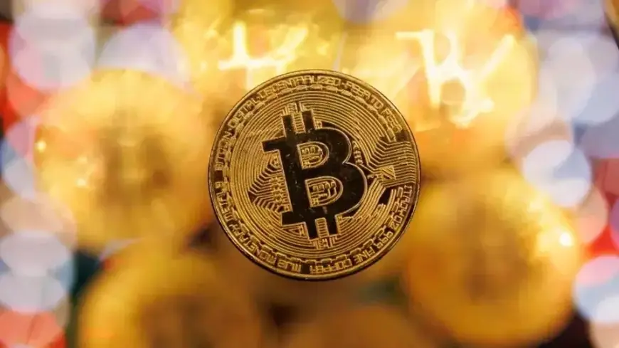 Bitcoin Terus Meroket, Harga Mendekati US$ 100 Ribu, Altcoin Ikut Bersinar