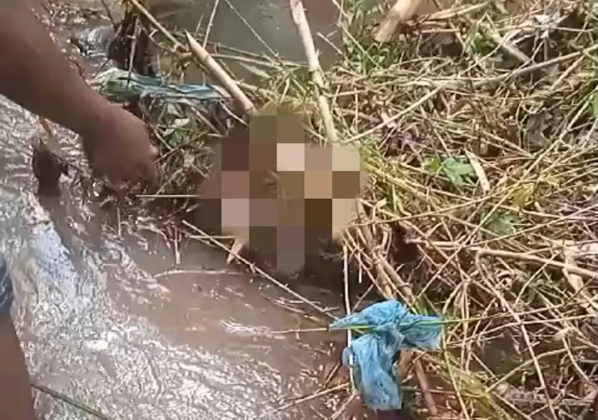 Warga Sumber Kokap Bondowoso Dihebohkan dengan Penemuan Jasad Bayi Laki-laki di Sungai