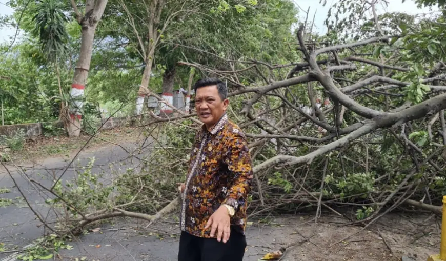 Pohon Tumbang Timpa 10 Titik di Mojokerto, Warga Diminta Waspada