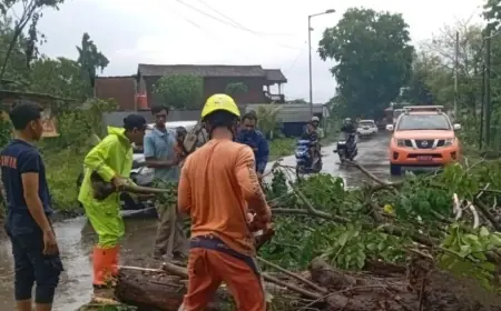Cuaca Ekstrem Sasar Kota dan Kabupaten Mojokerto Sepekan Terakhir