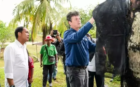 Menhut Apresiasi Budidaya Aren di Kaltim untuk Dukung Swasembada Energi Hijau