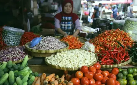 Inflasi 2024 Diproyeksikan Terkendali di Bawah 2 Persen, Josua Pardede: Ruang Penurunan BI-Rate Terbuka
