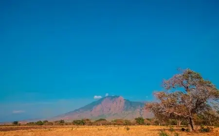 Pesona Wisata Situbondo yang Tersembunyi, Dari Safari Hingga Keindahan Alam yang Memukau