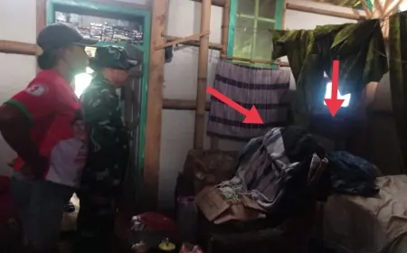 Diduga Jadi Korban Pembunuhan, Perempuan di Jember Ditemukan Tewas Membusuk