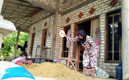 Disperta KP Sampang Tegaskan Alokasi Pupuk Subsidi sesuai Kebutuhan Petani