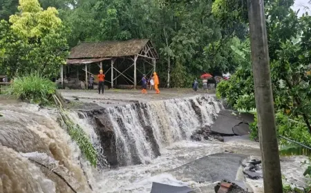 Hujan Seharian di Bondowoso Sebabkan Longsor, Jalan Desa Tangsil Wetan – Pasarejo Terputus