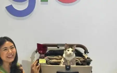 Bobby Kertanegara, Kucing Peliharaan Prabowo Subianto, Raih Penghargaan Top Trending Searches Google Indonesia 2024
