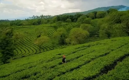 Temukan 5 Destinasi Wisata Terpopuler di Malang untuk Liburan Akhir Tahun 2024
