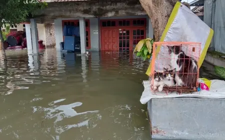 Pemulihan Ekonomi Korban Banjir Mojokerto dan Jombang Menjadi Tanggung Jawab Pemerintah