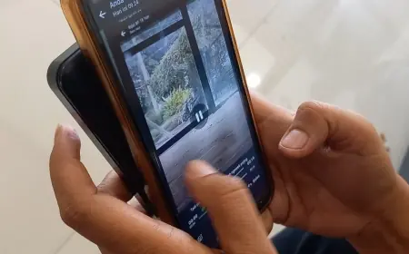Viral Remaja Diduga 'Indehoy' di Sasana Krida Kraksaan Probolinggo