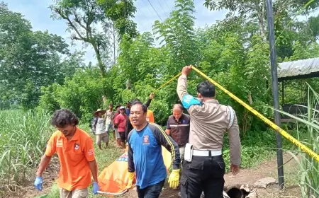 Polisi Selidiki Mayat Perempuan Setengah Bugil di Persawahan Kepanjen Malang