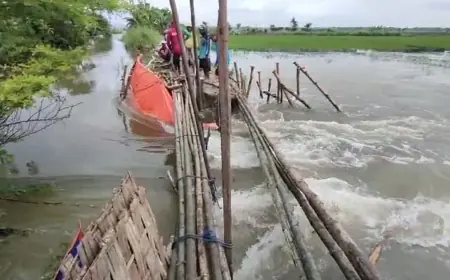 Tanggul Kali Ingas di Bojonegoro Jebol, Ratusan Hektare Tanaman Padi Terancam Puso