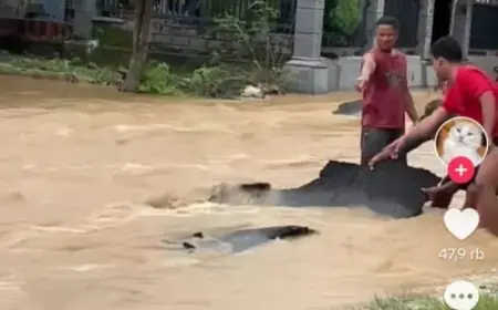 Viral! Banjir Hancurkan Aspal Baru di Tuban, Warganet Kocak: 'Aspalnya Masker Peel Off!'