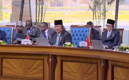 Prabowo Serukan Solidaritas D-8, Bersatu Dukung Palestina